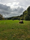 Hay bales in a farm field in rural Sussex, England.