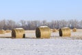 Hay Bales in a farm field with Snow and blue sky Royalty Free Stock Photo