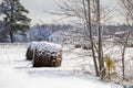 Hay Bales by the Farmhouse after a Snow