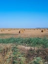 Hay and bales of hay on the field against blue sky Royalty Free Stock Photo
