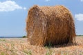 Hay bales on the field Royalty Free Stock Photo
