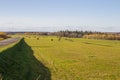 Hay bales in the field in autumn. Agricultural field with sky Royalty Free Stock Photo