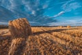 Hay bales on field in autumn weather. Royalty Free Stock Photo