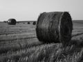 Hay Bales in Field Royalty Free Stock Photo