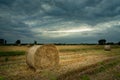 Hay bales in the field and cloudy sky Royalty Free Stock Photo