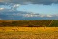 Hay bales on a field Royalty Free Stock Photo
