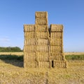 Hay bales in a field after the fresh harvest Royalty Free Stock Photo