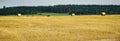 Hay bales on a field after harvest Royalty Free Stock Photo