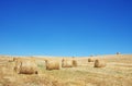 Hay bales in a field Royalty Free Stock Photo