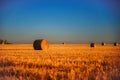 Hay bales on a field after harvest against a blue sky. Natural background Royalty Free Stock Photo