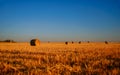 Hay bales on a field after harvest against a blue sky. Natural background Royalty Free Stock Photo