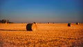 Hay bales on a field after harvest against a blue sky. Natural background Royalty Free Stock Photo