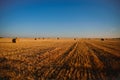 Hay bales on a field after harvest against a blue sky. Natural background Royalty Free Stock Photo