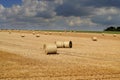 Hay bales on the field Royalty Free Stock Photo