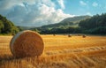 Hay bales on the field after harvest sunset time Royalty Free Stock Photo