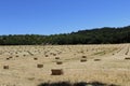 Hay bales