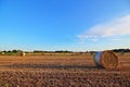 Hay bales field Royalty Free Stock Photo