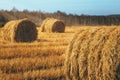 Hay bales on the field Royalty Free Stock Photo