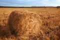 Hay bales on the field Royalty Free Stock Photo