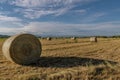 Hay bales in a field in the province of Pisa, Italy, in the sunset light Royalty Free Stock Photo