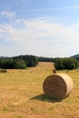 Hay bales on field in Saxon Switzerland Royalty Free Stock Photo