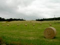 Hay bales field