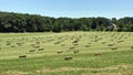 Hay bales in field Royalty Free Stock Photo