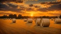 Hay bales on the field at sunset