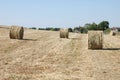 Hay Bales On The Field Threshed.