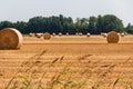 Hay bales in the fields