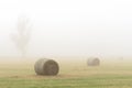 Hay bales in a foggy field in country NSW Australia Royalty Free Stock Photo