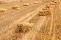 Hay bales on the golden agriculture field. Sunny landscape with straw bales in summer.  Yellow wheat haystacks in countryside. Royalty Free Stock Photo