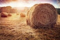 Hay bales in golden field at sunset Royalty Free Stock Photo
