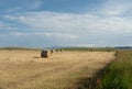 Hay Bales with Grass with Dried Brown Flowers Royalty Free Stock Photo