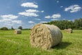 Hay bales on a green field, trees on the horizon and white clouds on a sky Royalty Free Stock Photo