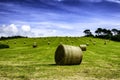 Hay bales in a green field under blue sky