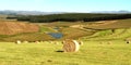 Hay bales in a green landscape, farming in Kwa Zulu Natal, South Africa