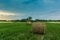 Hay bales in a green meadow at sunrise Royalty Free Stock Photo