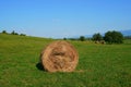 Hay bales on green mowed hayfield in Transylvania, Romania on sunny summer day in Transylvania, Romania