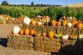 Hay Bales With Pumpkins & Squash For Halloween Royalty Free Stock Photo