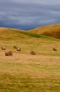 Hay Bales at Harvest