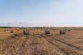 Hay bales on harvested farm field. Big straw bales