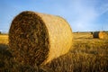 Hay bales in a golden field Royalty Free Stock Photo