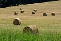 Hay bales in hayfield Royalty Free Stock Photo