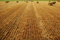 Hay bales in hayfield Royalty Free Stock Photo