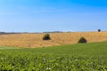 Hay bale on hills