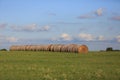 Hay bales Royalty Free Stock Photo