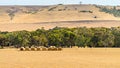 Hay bales on Kangaroo Island Royalty Free Stock Photo