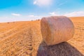 Hay bales landscape of yellow grass fields under blue sky with white clouds, agriculture and nature and relax, climate change Royalty Free Stock Photo