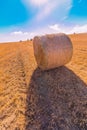 Hay bales landscape of yellow grass fields under blue sky with white clouds, agriculture and nature and relax, climate change Royalty Free Stock Photo